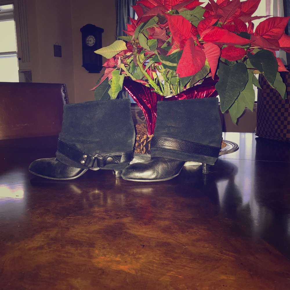 Miss Sixty booties